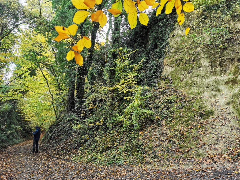 Lebensgemeinschaft Hohlweg